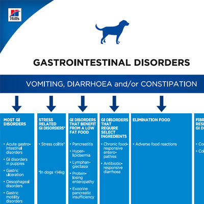 Köpek Sindirim Sistemi Sağlığı Protokolü