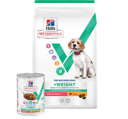 Hill’s Vet Essentials Kısırlaştırılmış Köpek Maması