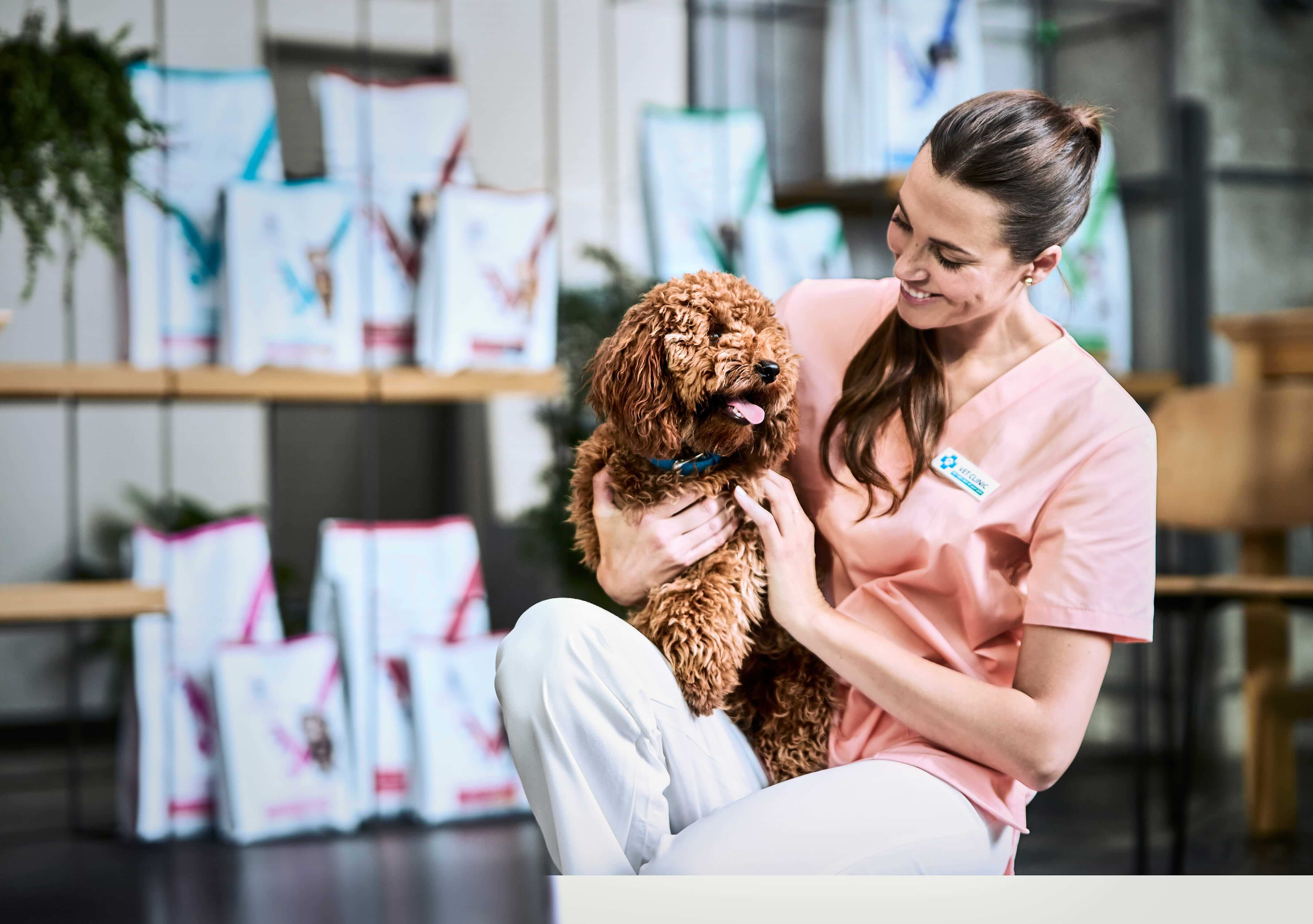 Mama kasesine uzanan kedi