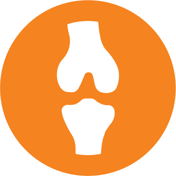 Kemik ve Eklem Desteği Simgesi