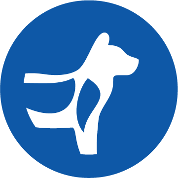 Kemik ve Eklem Desteği Simgesi