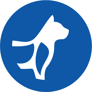 Kemik ve Eklem Desteği Simgesi