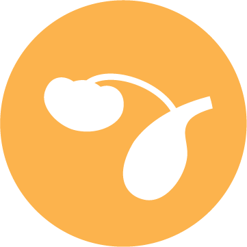 İdrar Sağlığı Simgesi